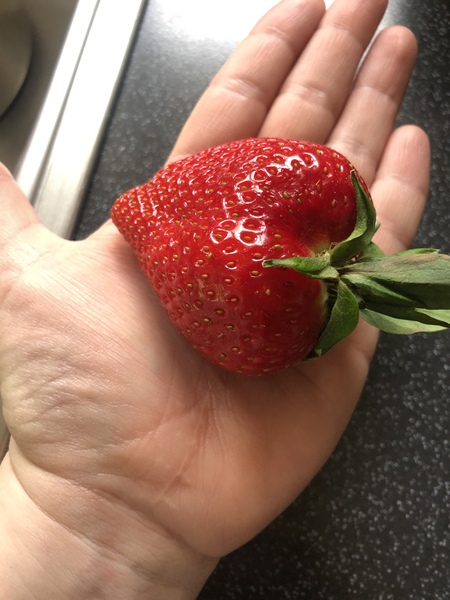 To start a giant fruit thread?