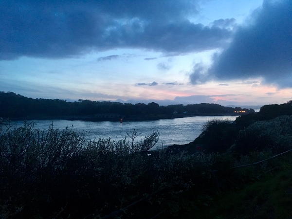 Any Witches Here? Part 7.