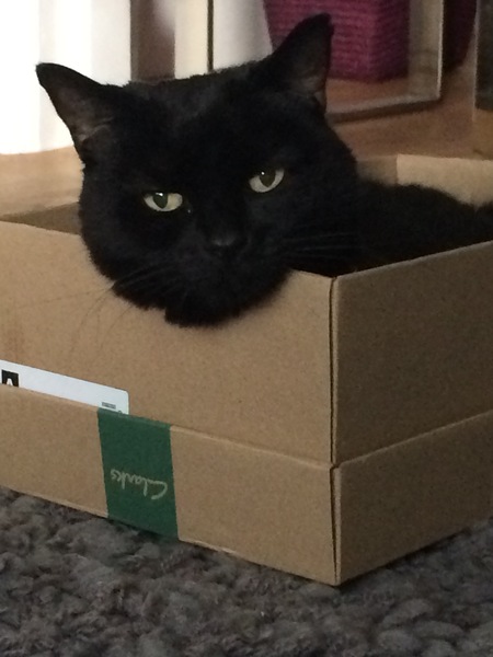 Westminstenders: A False Sense of Security