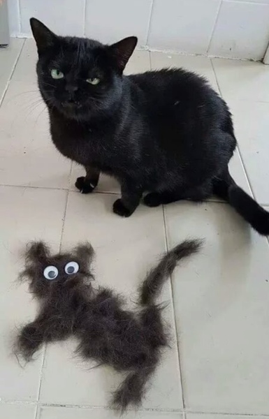 Westminstenders: The Bill Cash Appreciation Society