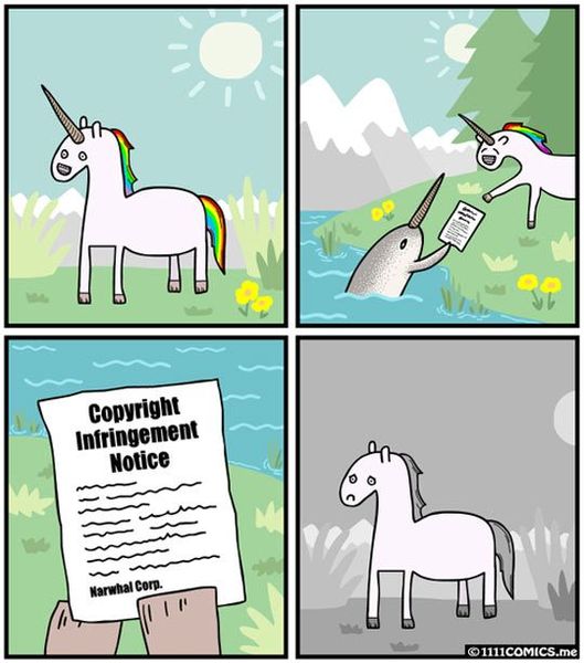 Narwhals