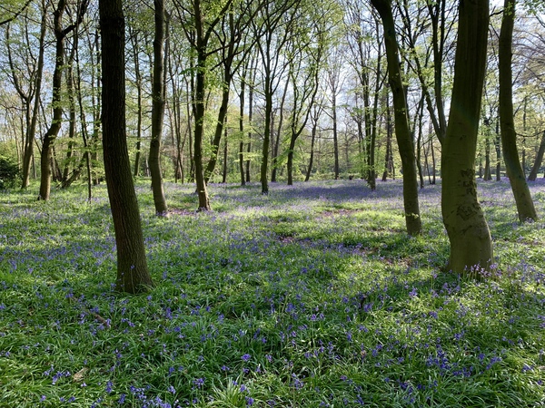 Austere April continues with the Friendly Frugaleers! Join us as we discuss our direct debits, prattle about penny pinching and possibly babble about Brexit...