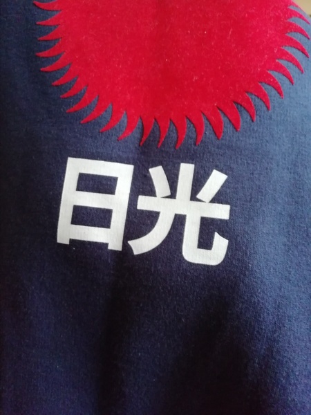 Any Chinese or Japanese speakers can help?