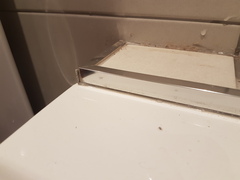 You thought my radiator was bad?... Brace yourself Nelly