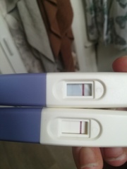 Evap or Neg?