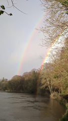 I saw the end of a rainbow!