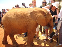 Mumsnet users share their best and worst travel stories with Arla BIG Milk