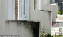 New Barratt homes covered in 'black mould'?