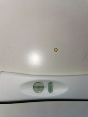 Evap line or positive test ??? Please help