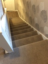 Let's talk about carpet...