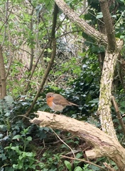 Any Witches Here? Part 7.