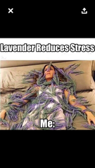 Please share your funny memes or pictures.