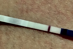 Confusing pregnancy test