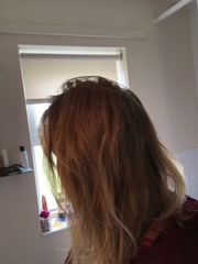 Yesterday’s post (update with pics)