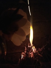 Any Witches Here? Part 8.