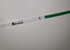 Pregnant or not? Panicking.