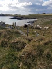 Any Witches Here? Part 7.