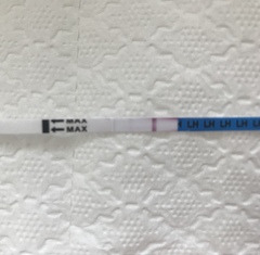 OPK experts - have I ovulated?
