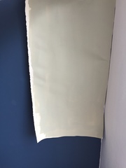 Dulux Overtly Olive?