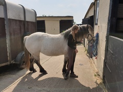 Tryers to be dryers spring into spring, not as much wine, beer or gin. We sow our seeds of hope for a dryer season, but if we drink, it's for a reason.