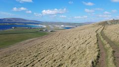 Any Witches Here? Part 7.