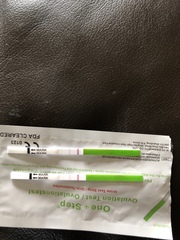 OPK always negative advise please