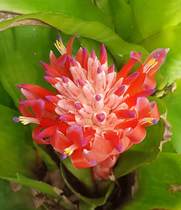 Any Witches Here? Part 7.