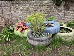 Garden frustrations