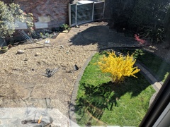Please help me fix my garden!