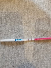 OPKs are better pregnancy tests than ICs