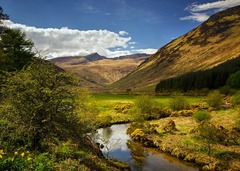 Countryside in the uk