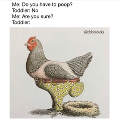 Please share your funny memes or pictures.