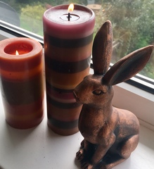 Any Witches Here? Part 7.