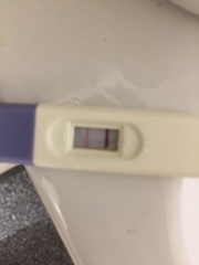 Bfp or evap line?