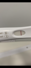 Rainbow baby here I come!