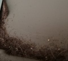 Holiday Cottage Dirt photos ...