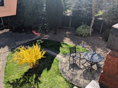 Please help me fix my garden!