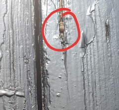 What nest?