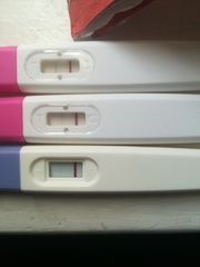 Evap or Neg?