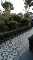 Edwardian semi - front garden path and railings?