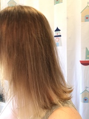 Yesterday’s post (update with pics)