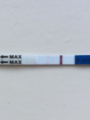 Cheap test - is it positive??