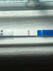 CP last month. AF today. Feel preggo. Faint line on OP. What is going on?!