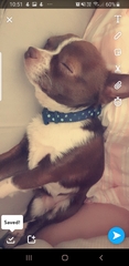 AIBU to post a happy picture
