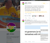 Baroness Barker (LibDem) attempts to smear GC women's groups