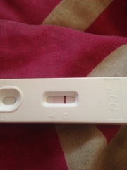 Do you have pictures of your positive pregnancy tests?