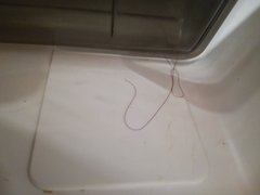 Holiday Cottage Dirt photos ...