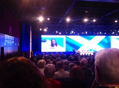 Westminstenders: Local Elections Madness