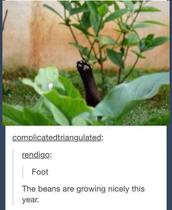 Please share your funny memes or pictures.