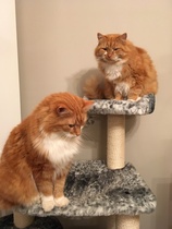 I think they need a new bed....